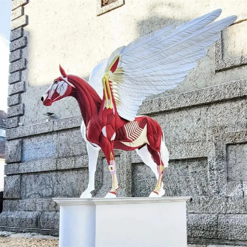 Anatomical Style Pegasus FRP Sculpture – Large Art Installation Ornament for Outdoor Plaza Viral Photo Spot Display — view 3