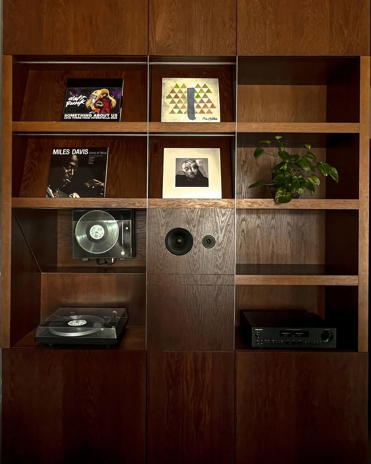 Built-In Dark Walnut Hi-Fi Vinyl Record Integrated Audio Storage Wall Cabinet