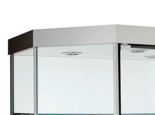 Exquisite watch display case&high-end jewelry display case&collection display case for sale — view 3