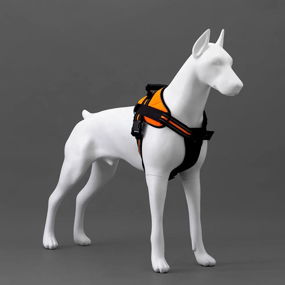 Fiberglass Dog Mannequins For Pet Shop Decoration & Dog Clothing Display Model — view 4