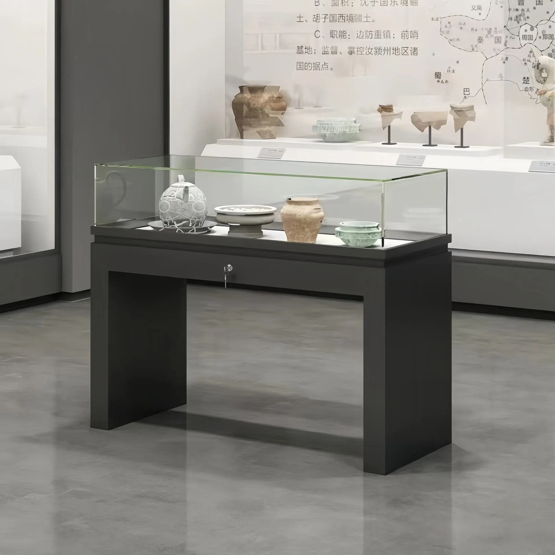 Museum Display Case / Freestanding Artifact Showcase / Modern Museum Pedestal Display — view 8