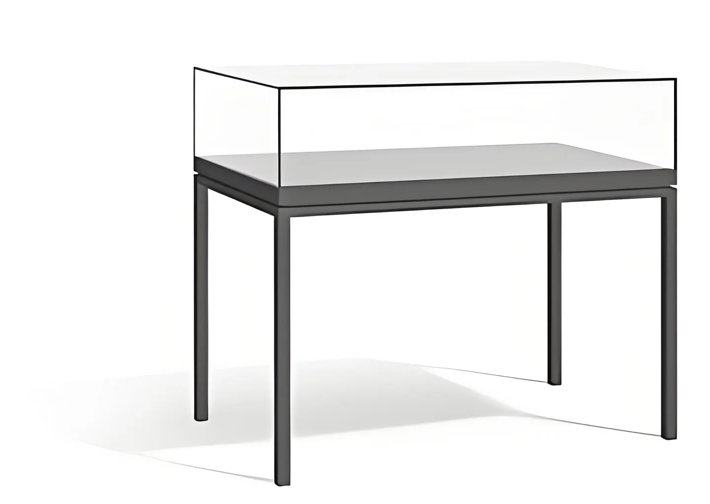 RT22 Premium Table Display Case (Library Case) with Archival-Grade Protection & Tilt-Up — view 4