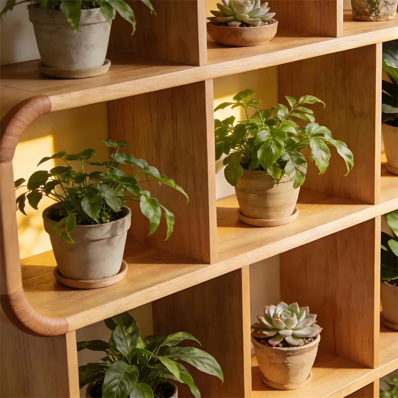 Rustic-Style Customizable Wooden Display Cabinet | Multi-Scenery Potted Plant Showcase for Flower Shops & Homes — view 4