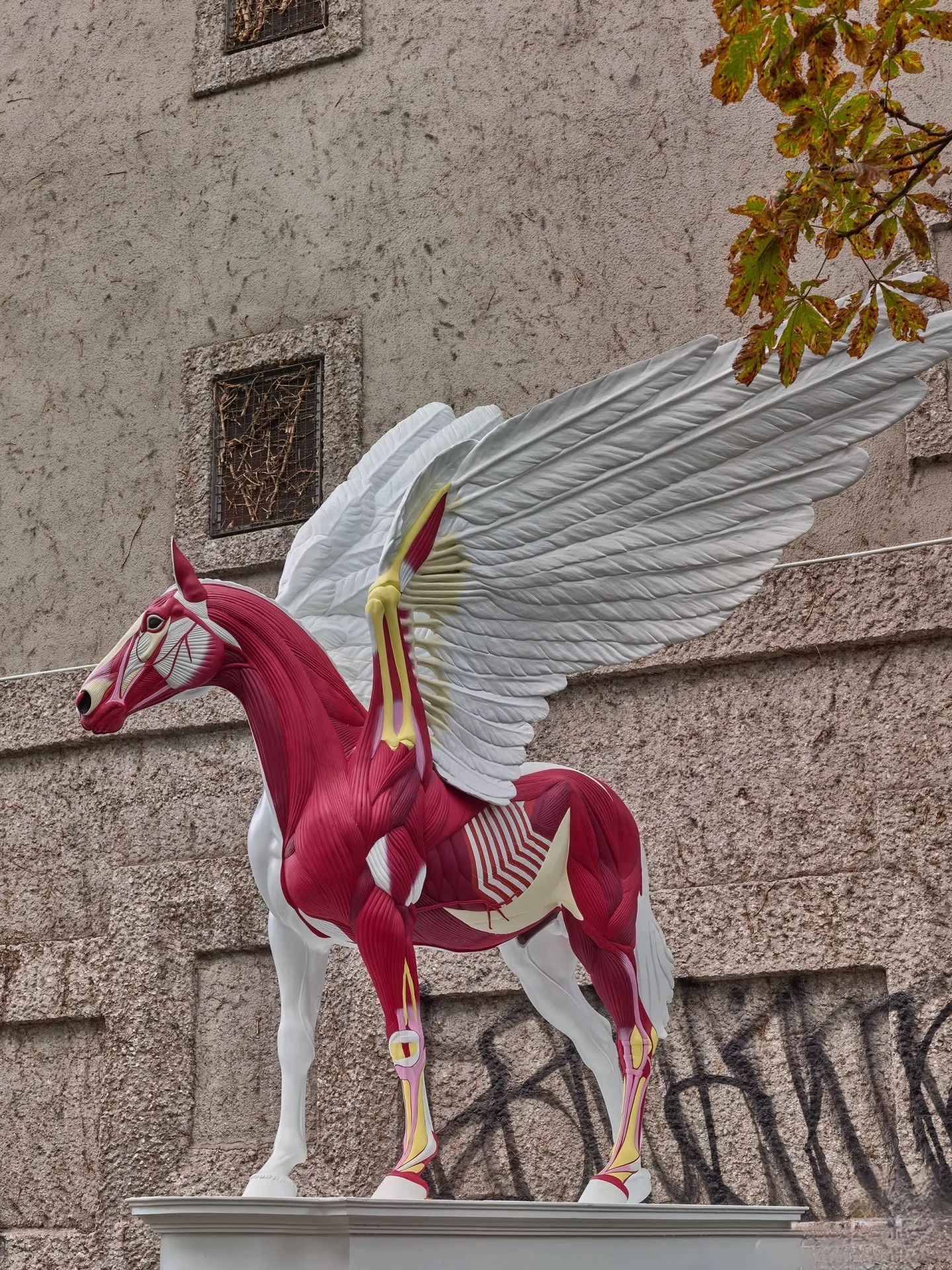 Split Anatomical Pegasus Fiberglass Sculpture for Outdoor Gallery and Plaza Landmark Art Display — view 5