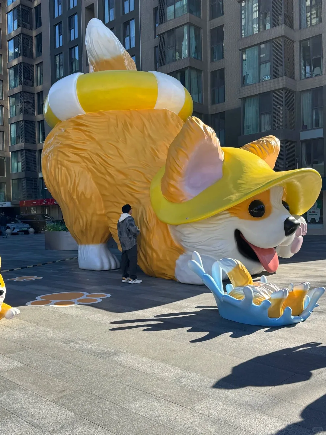 Summer Swimming Theme Giant Corgi FRP Sculpture for Mall Outdoor Plaza Decor — view 2
