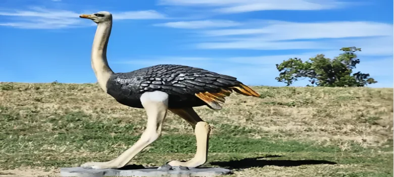 Life Size Ostrich Statues Sculptures For Sale – custom retail display image 3