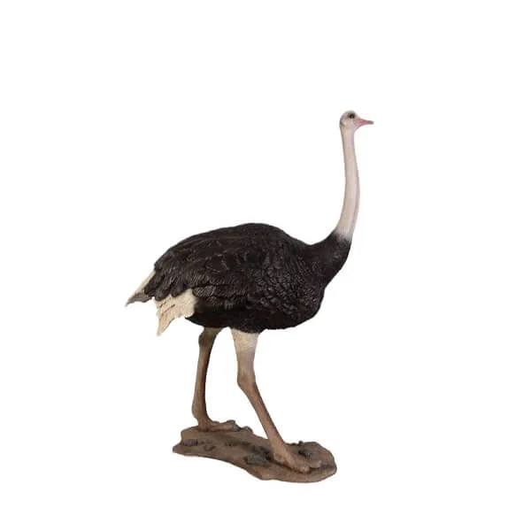 Birds Statues For Sale | Owl, Eagles, Pelican, Heron, Peacock More – Ostrich Statue image 6