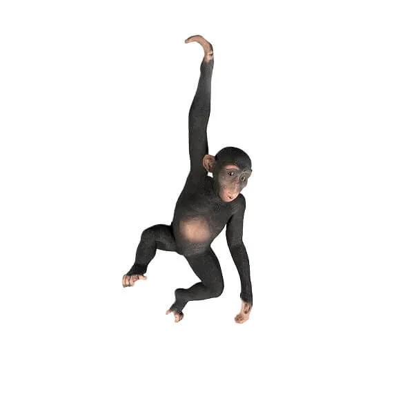 Life Size Wildlife Statues, Sculptures Figurines – custom retail display image 16