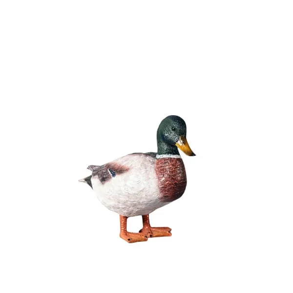 Birds Statues For Sale | Owl, Eagles, Pelican, Heron, Peacock More – Duck & Goose Statues image 2