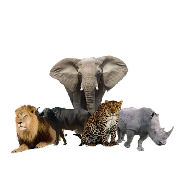 Life Size Animal Sculptures Statues For Sale – Wildlife Statues image 1