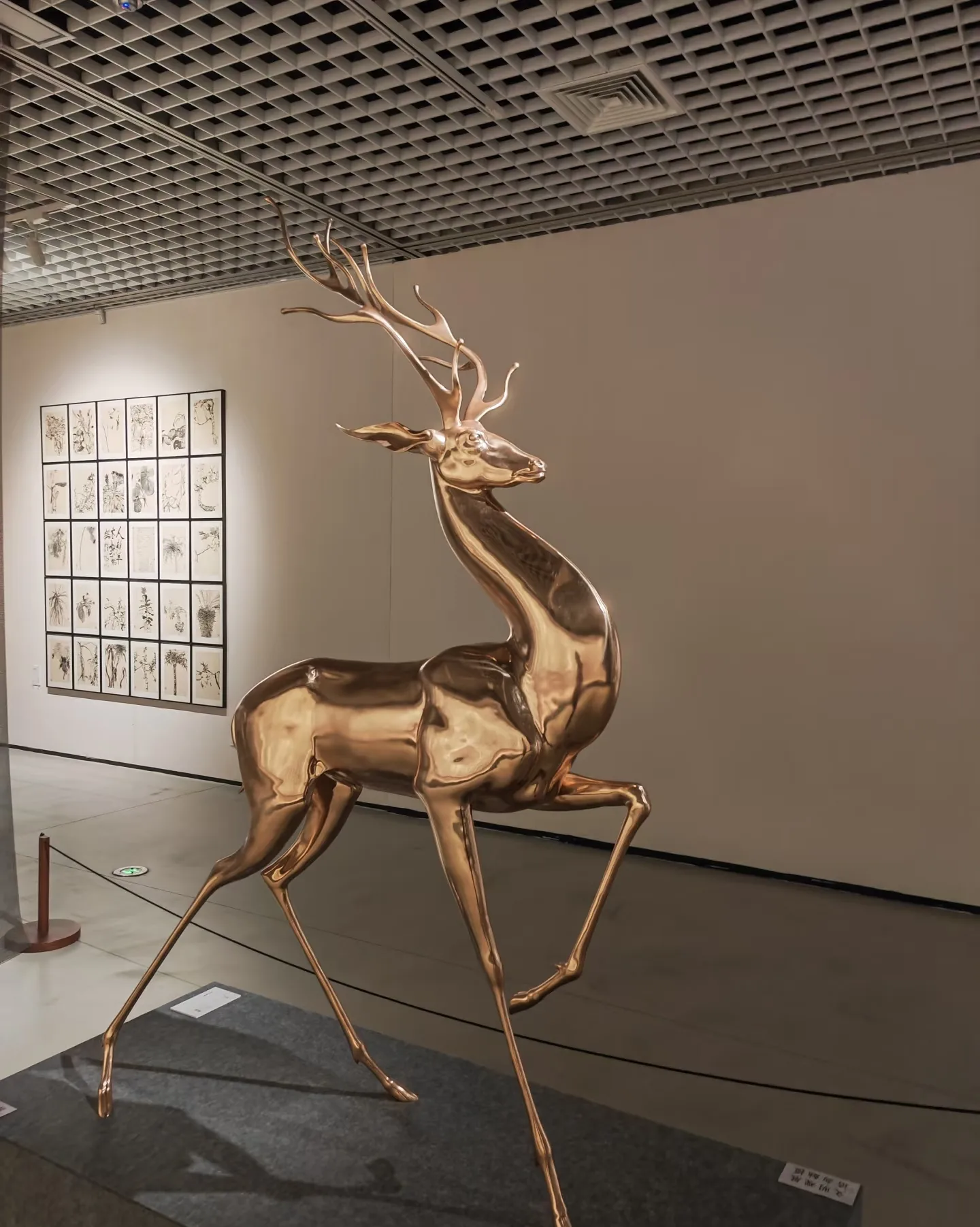 Life Size Deer Elk Sculptures For Sale | Fiberglass – custom retail display image 26