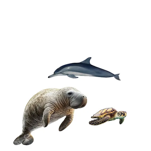 Life Size Animal Sculptures Statues For Sale – Sea Animals image 3