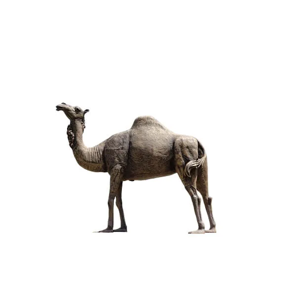 Life Size Wildlife Statues, Sculptures Figurines – custom retail display image 10