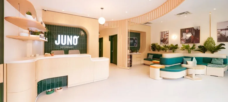 Veterinary Clinic Design, Furniture Construction – custom retail display image 7