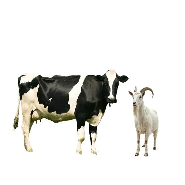 Life Size Animal Sculptures Statues For Sale – Farm Animals image 2