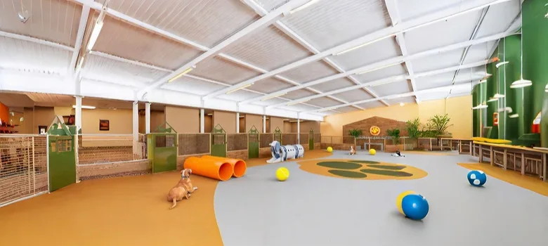 pet boarding hotel Pet Boarding, Daycare Hotel Design Construction – custom retail display image 3