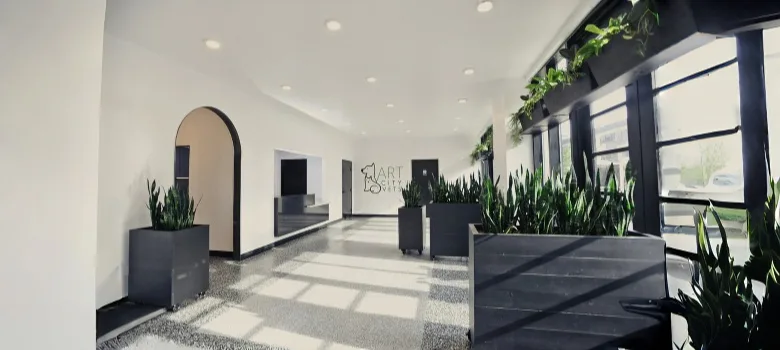 Veterinary Clinic Design, Furniture Construction – custom retail display image 8
