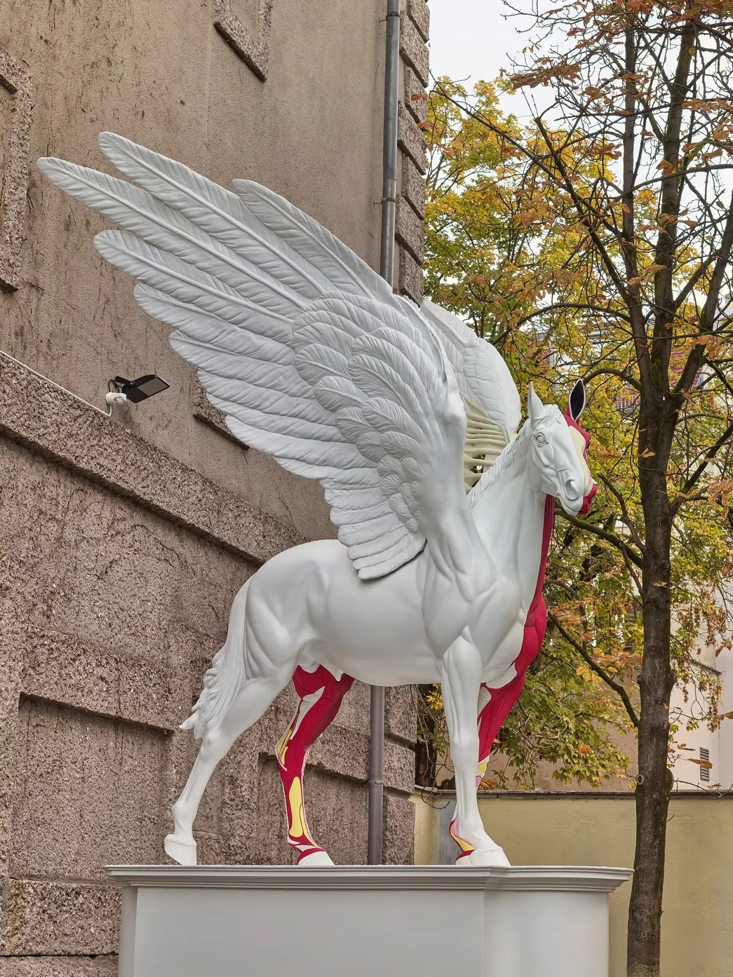 Split Anatomical Pegasus Fiberglass Sculpture for Outdoor Gallery and Plaza Landmark Art Display