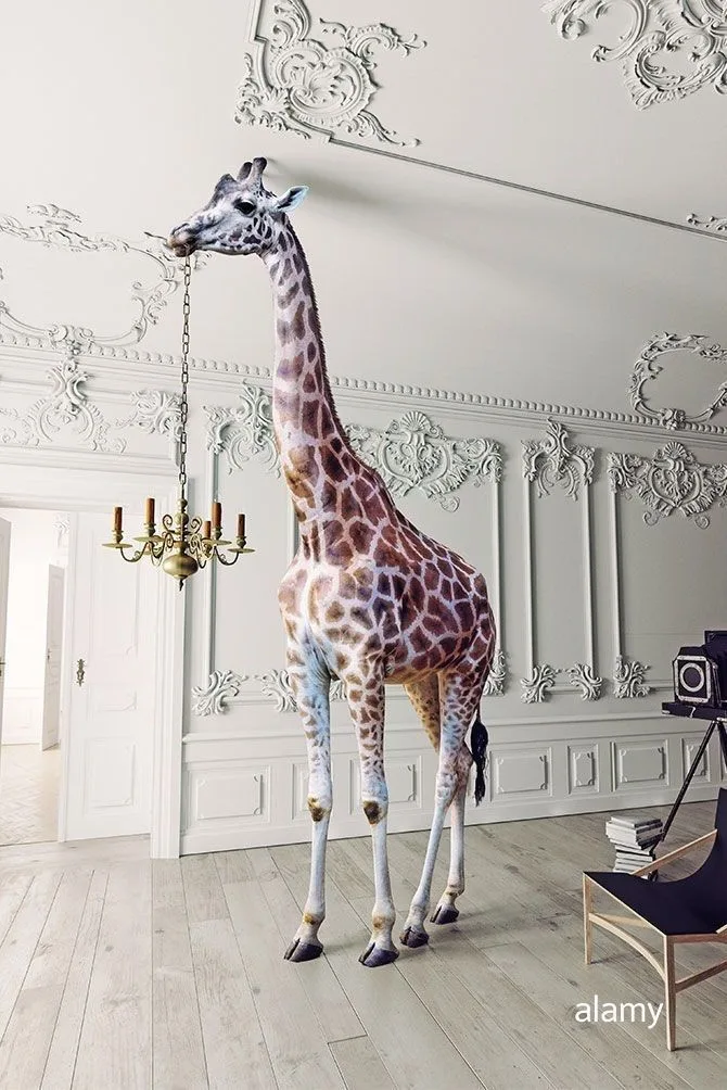 Giraffe Statues Sculptures | FRP African Wildlife Statues – custom retail display image 15