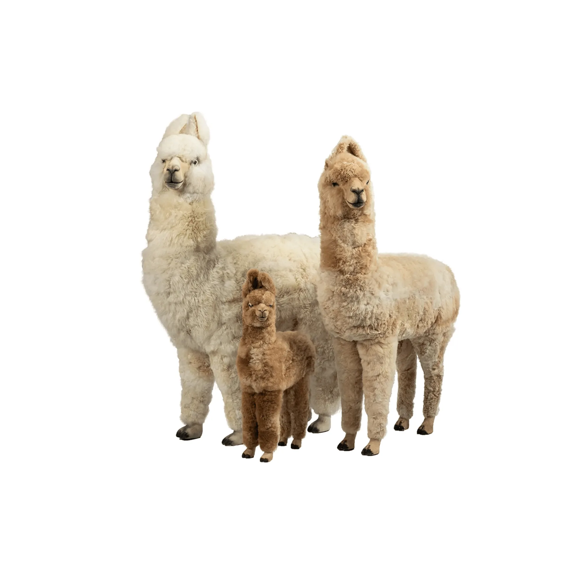 Alpaca Statues Sculptures For Sale – custom retail display image 5