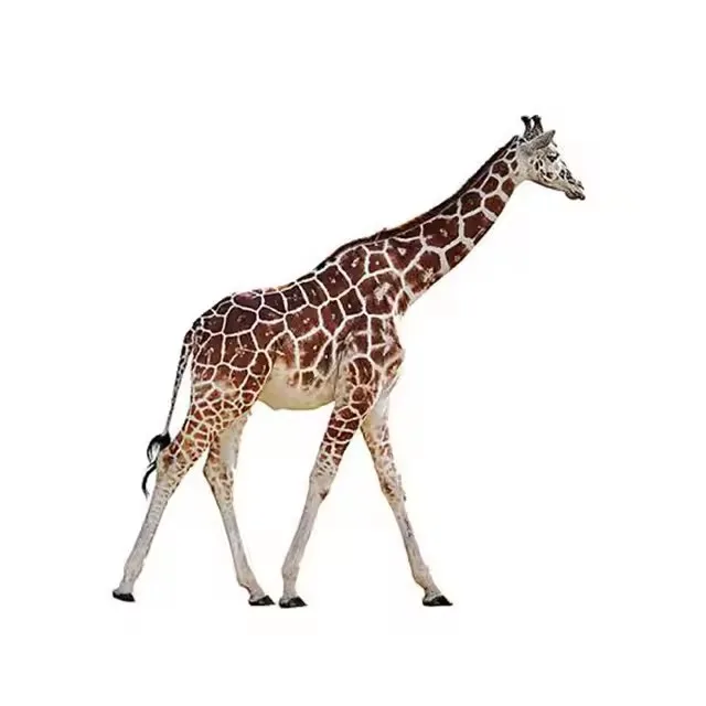 Bronze Animal Statues Wildlife Sculptures For Sale | Large – custom retail display image 2