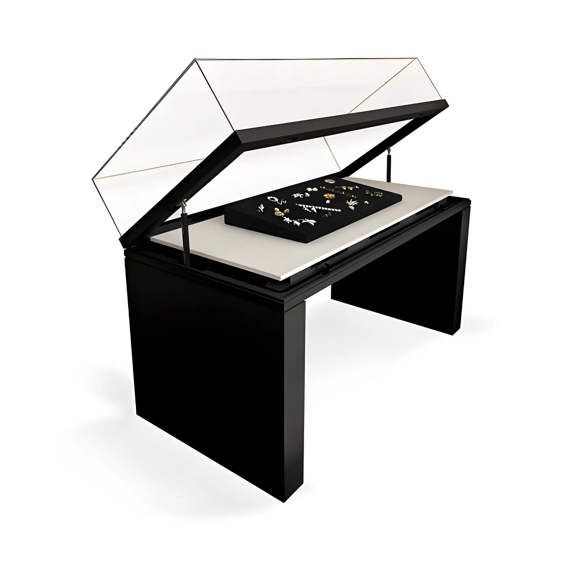 Museum Display Cases – custom retail display image 108