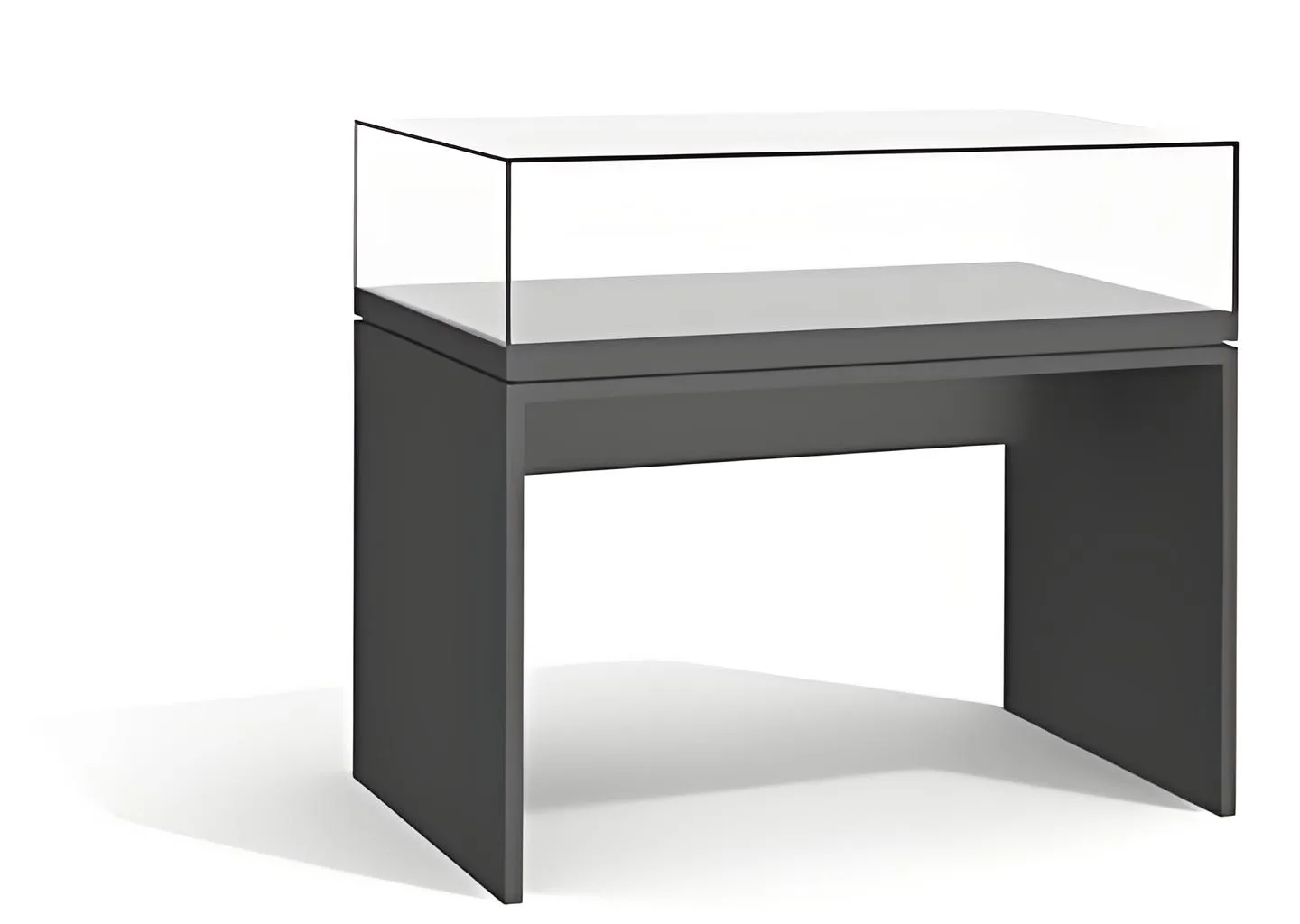 Museum Display Cases – custom retail display image 71