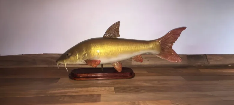 Fish Sculpture (3) Life Size Fish Sculptures Statues For Sale – custom retail display image 15