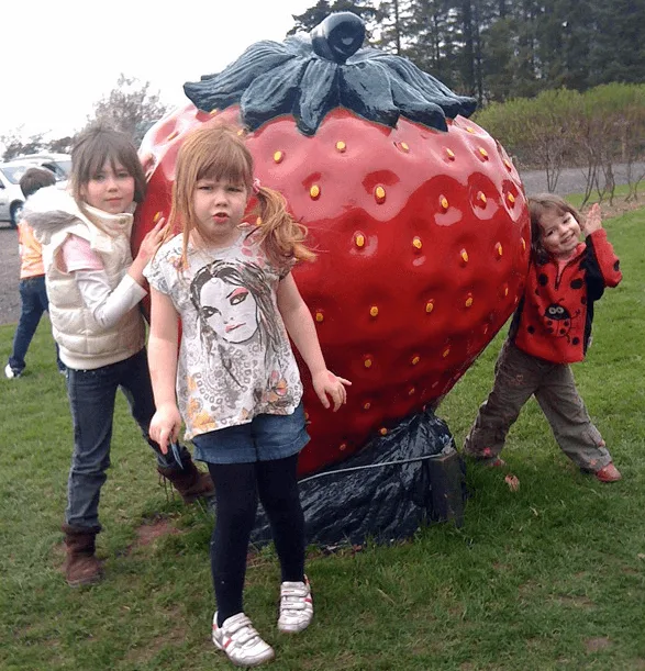 Giant Strawberry Statues Sculptures For Sale | Fiberglass – custom retail display image 3