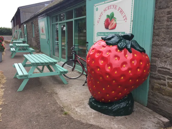 Giant strawberry statue (9) Giant Strawberry Statues Sculptures For Sale | Fiberglass – custom retail display image 36