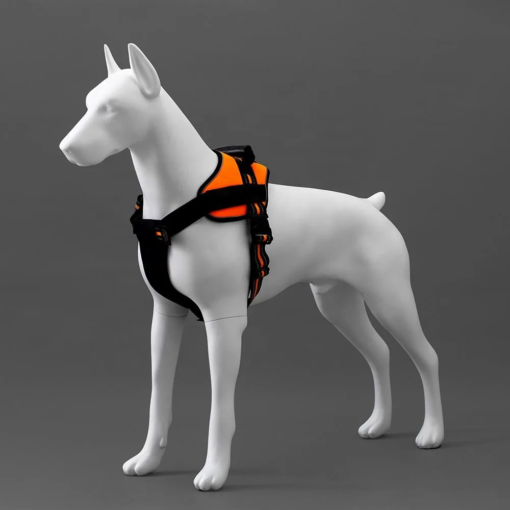 Fiberglass Dog Mannequins – custom retail display image 2