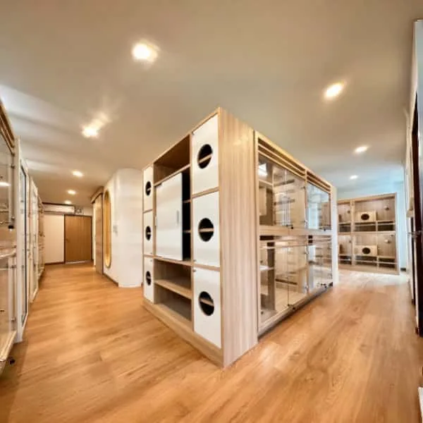 Displays, Fixtures Furniture For Service Industry – Pet Boarding & Hotel image 15