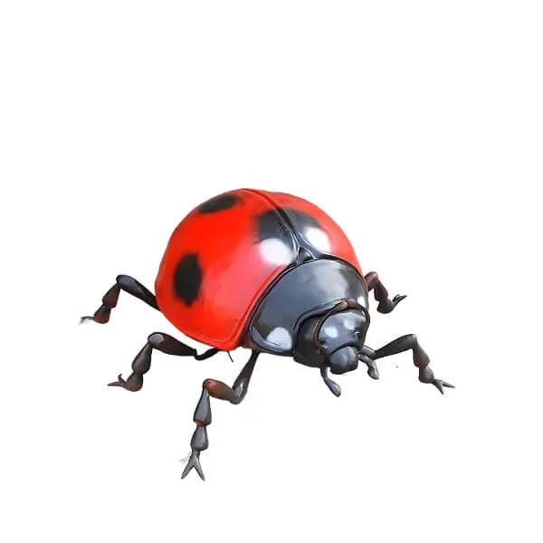 Insect Bug Sculptures – Beetle Sculpture image 5