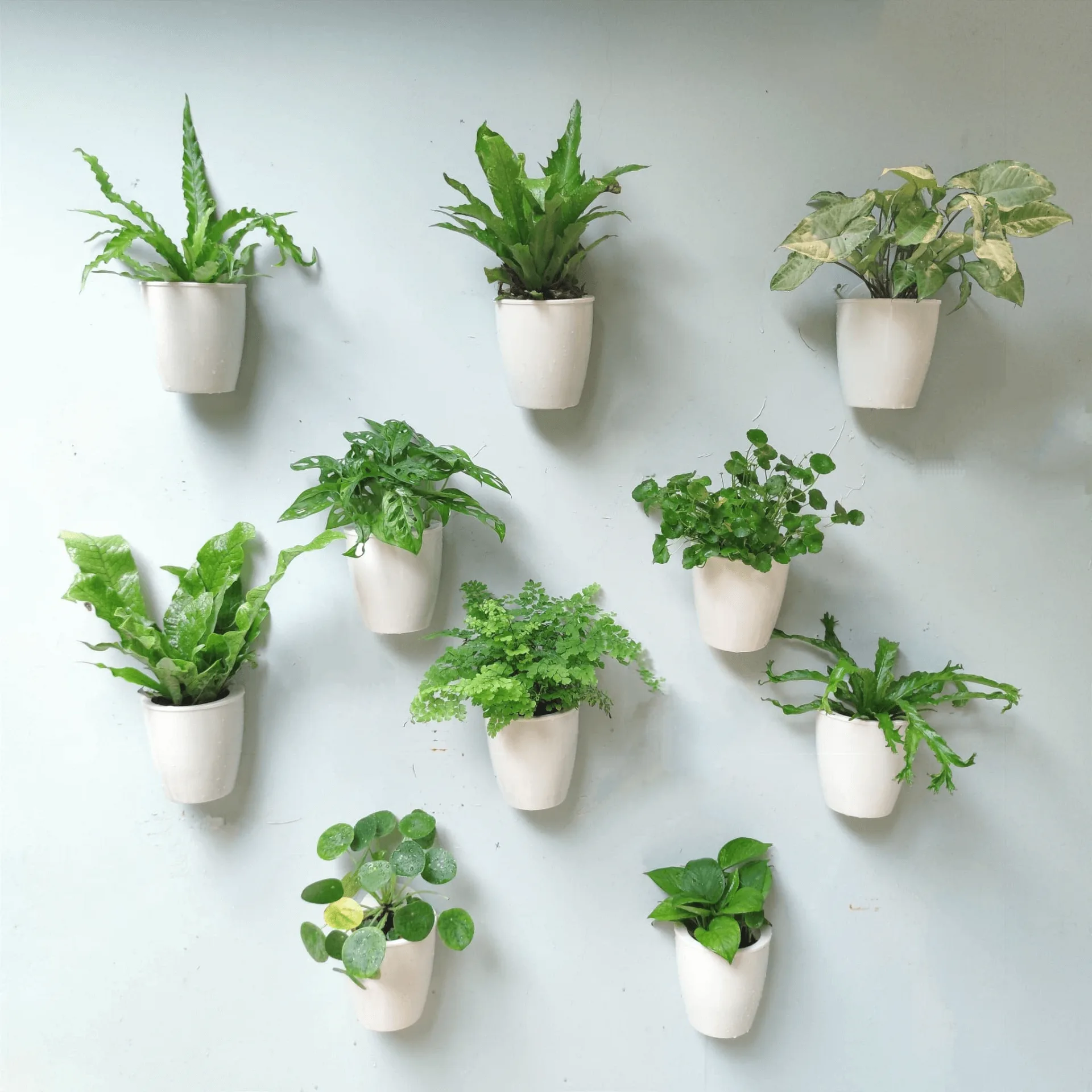 Large Hanging Wall Fiberglass Planters, Pots – custom retail display image 4