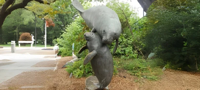 Large Manatee Statues Sculptures For Garden – custom retail display image 3