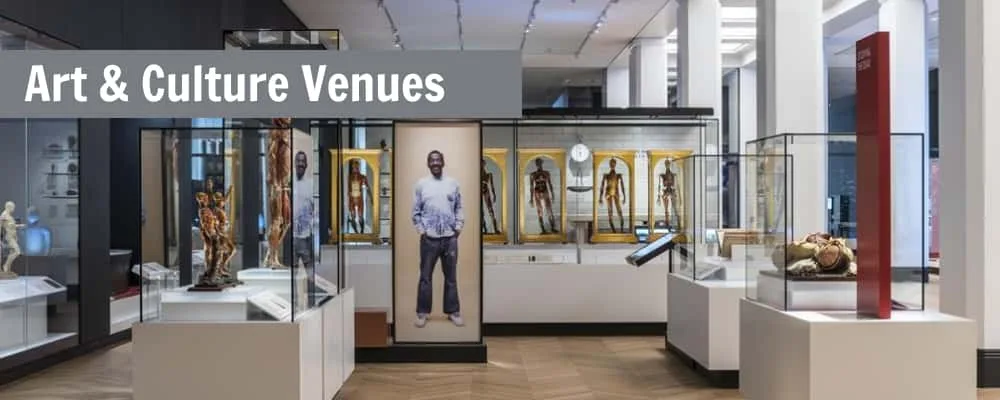 Industry Specific Displays | Furniture Fixtrues – Art & Culture Venues image 8