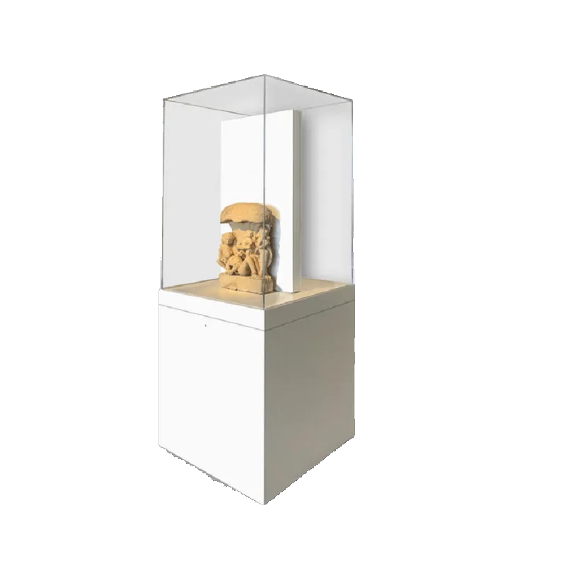Museum Display Cases – custom retail display image 5