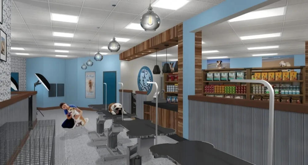 Pet Grooming Salon Design, Furniture Construction – Blue and Yellow Themed Pet Grooming Salon Decoration with Charimg Customi