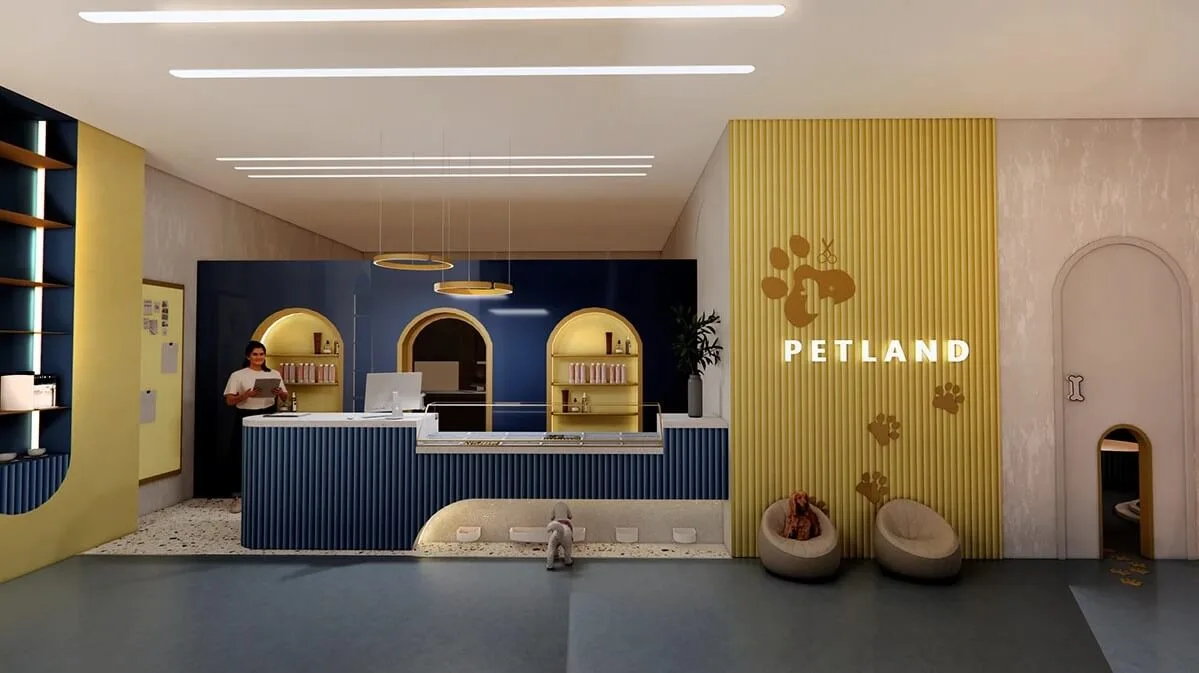 Pet Grooming Salon Design, Furniture Construction – Blue and Yellow Themed Pet Grooming Salon Decoration with Charimg Customi