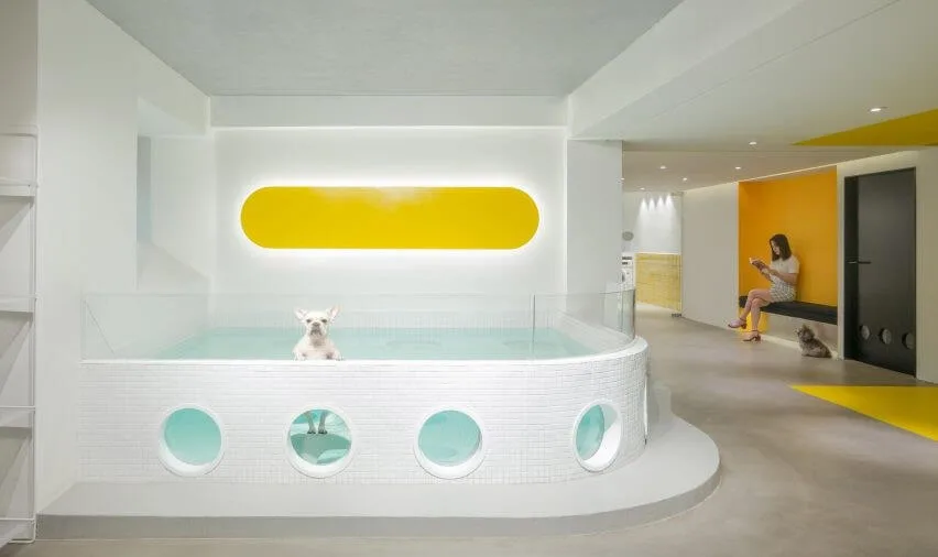 Pet Grooming Salon Design, Furniture Construction – Blue and Yellow Themed Pet Grooming Salon Decoration with Charimg Customi