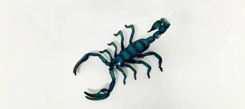 Giant Scorpion Sculptures Statues For Sale – custom retail display image 2