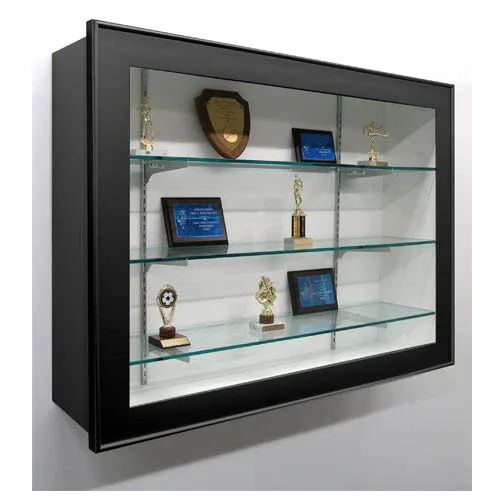 Wall Mounted Display Cases | Museum Exhibit – custom retail display image 4