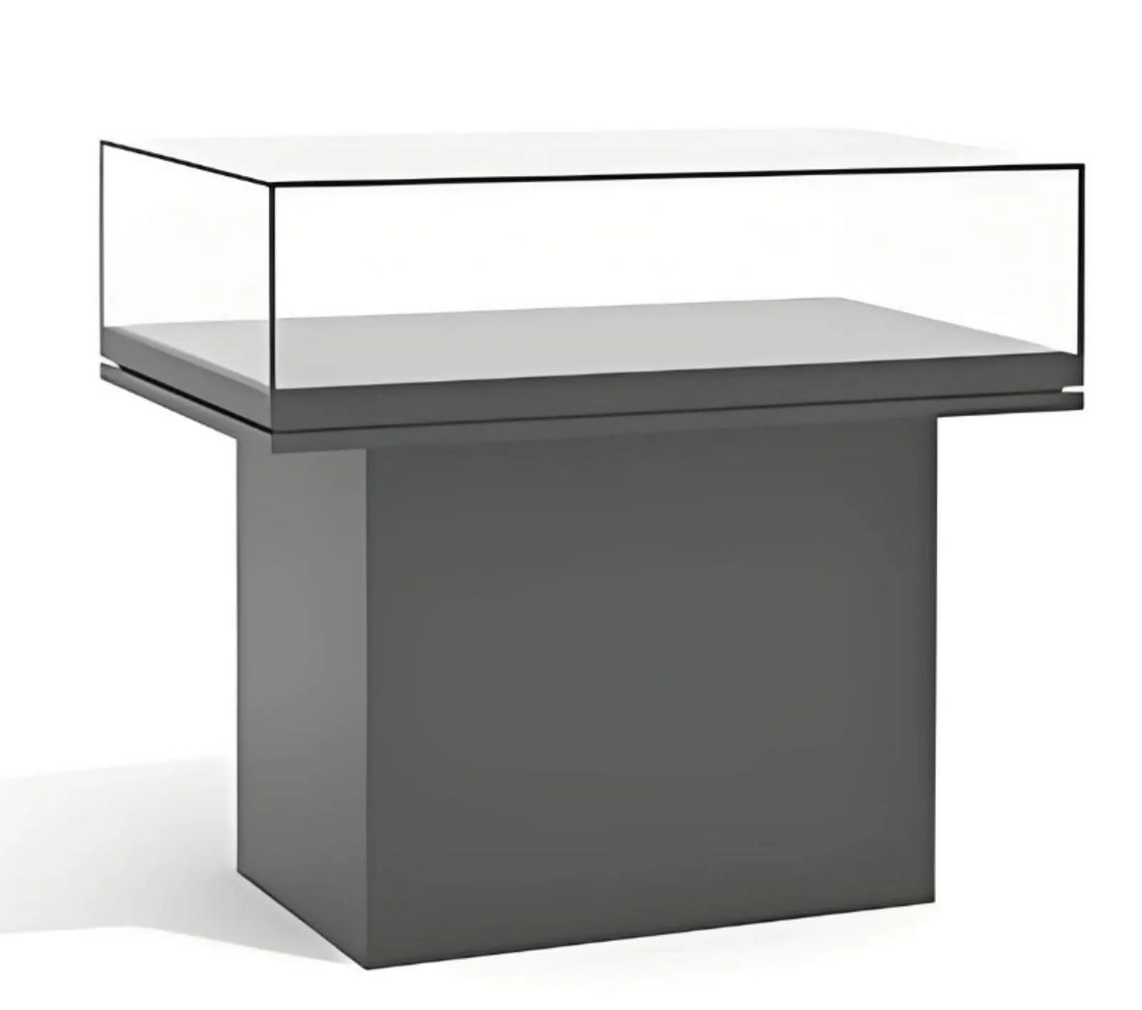 Table Top Display Casse | Museum Jewelry – custom retail display image 2