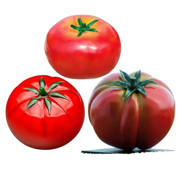 Fruit Vegetables Props | Life Size Statues For Sale – Large Tomato image 9