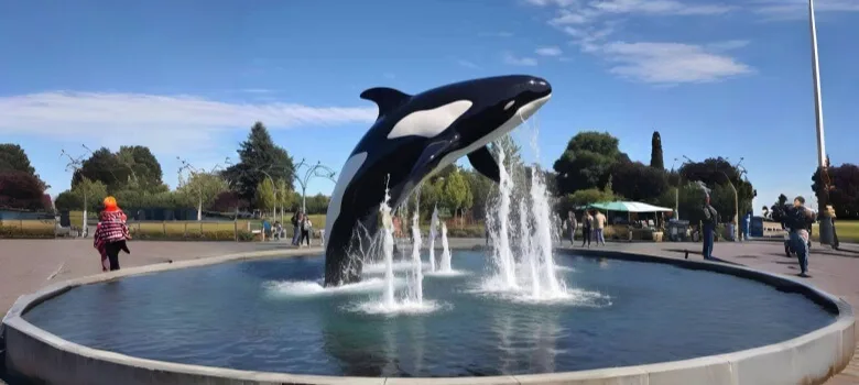 Large Whale Statues Sculptures For Sale – custom retail display image 10
